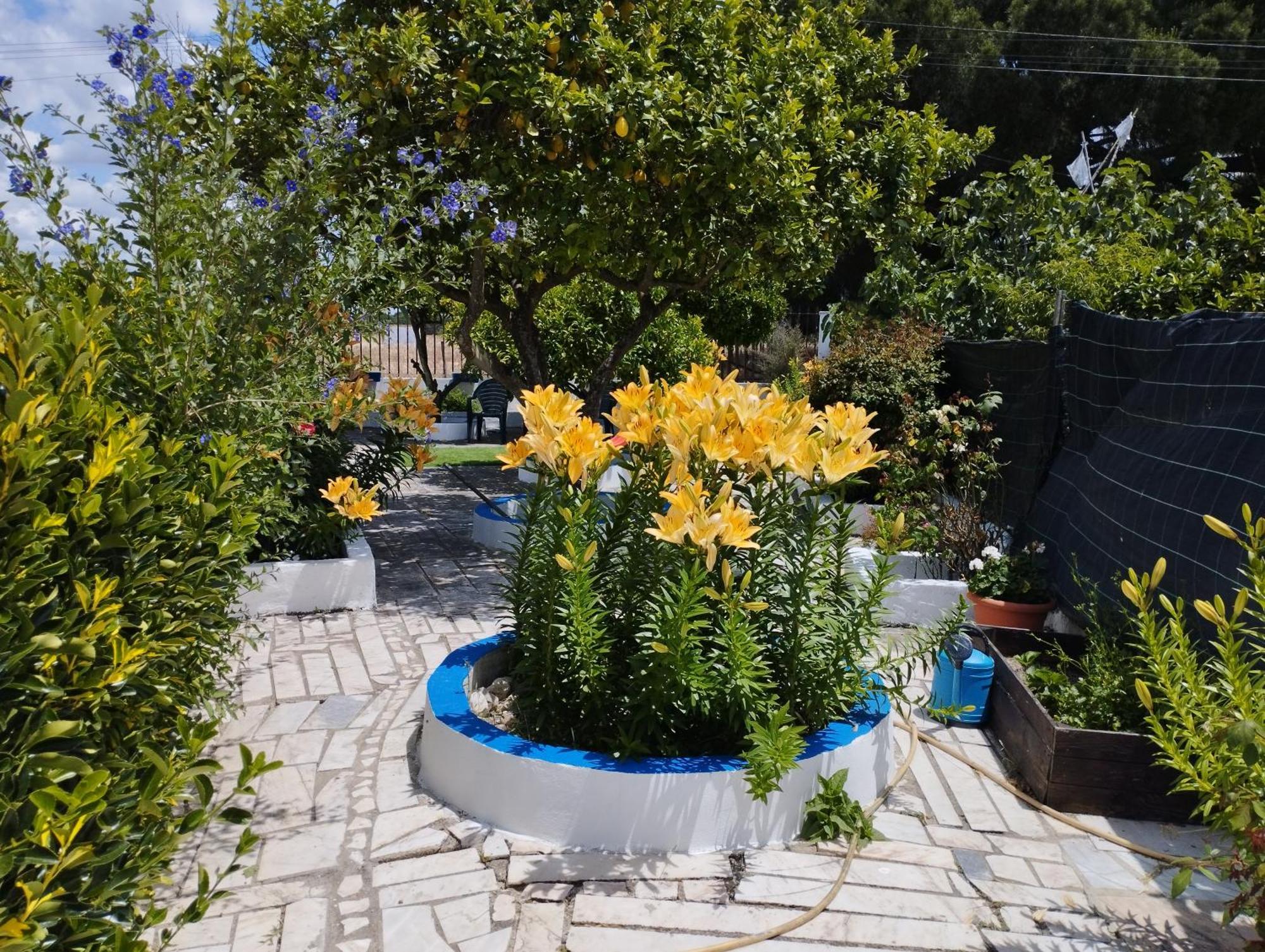 Villa Monte Sol Nascente à Grândola Extérieur photo