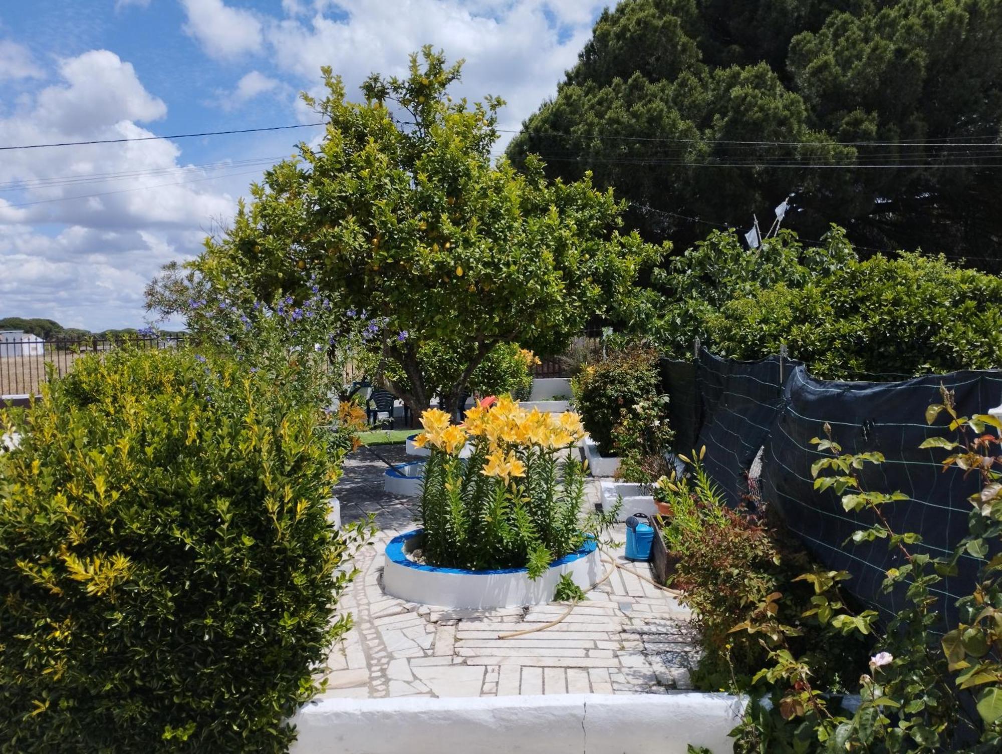 Villa Monte Sol Nascente à Grândola Extérieur photo